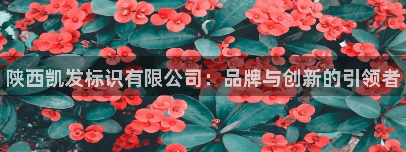 壹号平台下载