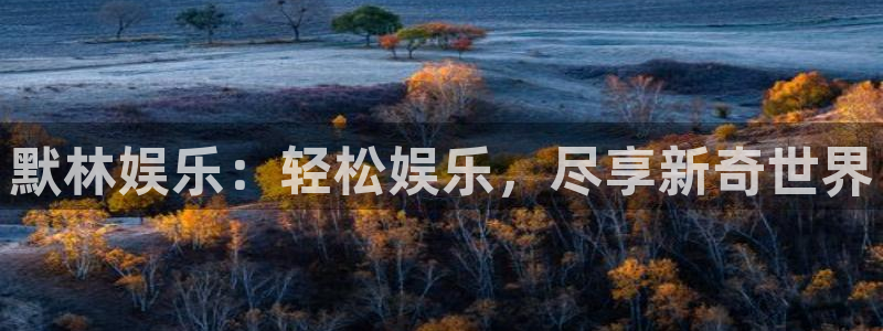 众合官网平台官网版最新