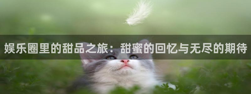 壹号平台下载安装