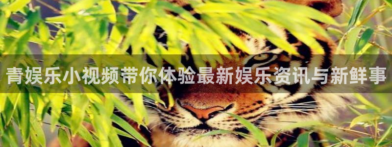 伟德国际集团 壹号(one game)
