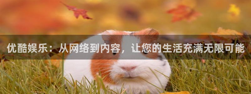 众合官网可靠吗