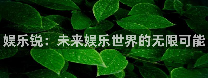 南宫众合官网官网版