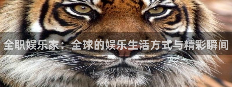 众合官网下载