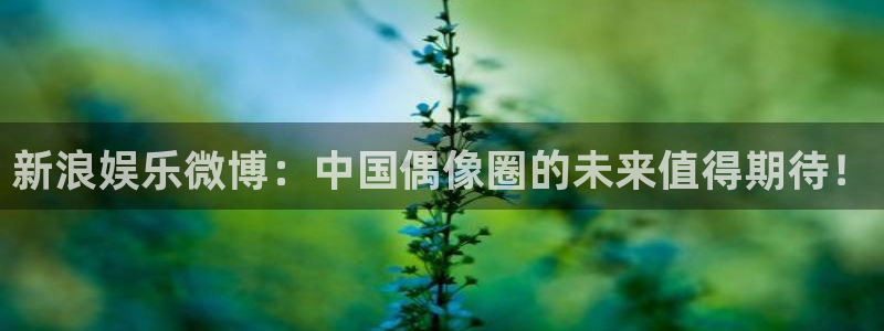 壹号app官网版下载