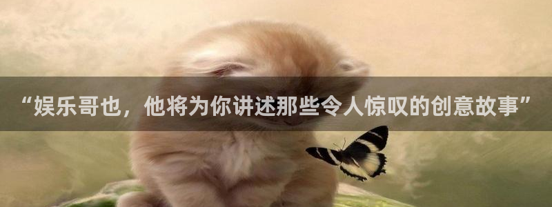 众合官网下载官网入口在哪：“娱乐哥也，他将为你讲述那些令人惊叹的创意故事”