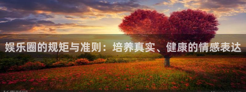 众合官网加拿大官网：娱乐圈的规矩与准则：培养真实、健康的情感表达