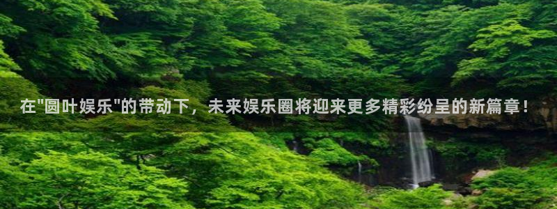 众合官网分红代理计划：在\