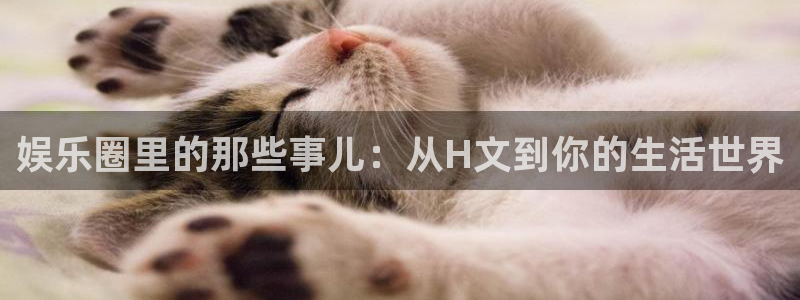 壹号大舞台娱乐传媒：娱乐圈里的那些事儿：从H文到你的生活世界