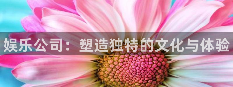 壹号电子娱乐app下载安装最新版本