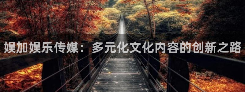 壹号注册入口app下载