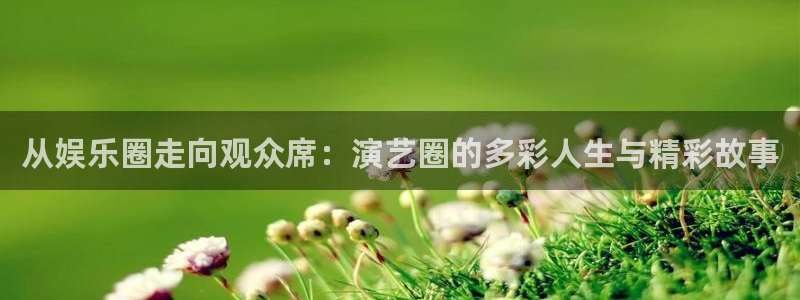 壹号电子娱乐app下载安装最新版本：从娱乐圈走向观众席：演艺圈的多彩人生与精彩故事
