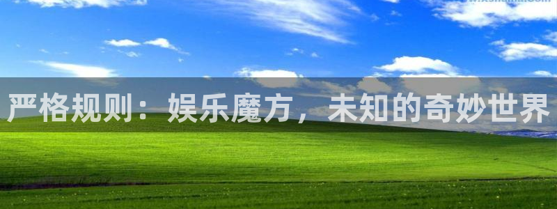 壹号大舞台28国际大舞台：严格规则：娱乐魔方，未知的奇妙世界
