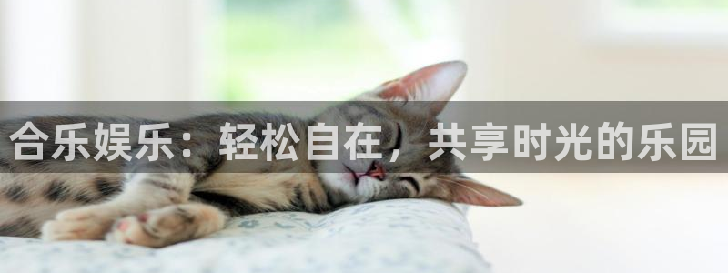 众合官网官网：合乐娱乐：轻松自在，共享时光的乐园
